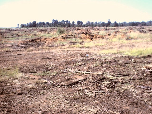 Showing the area with the Confluence marked