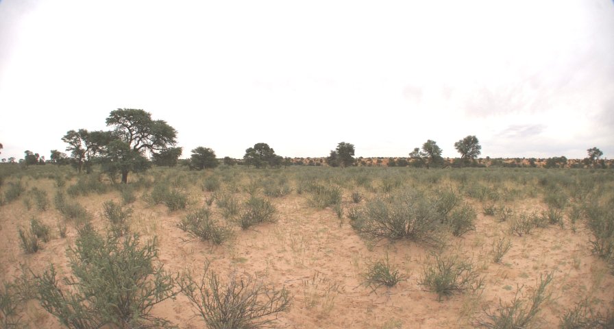 Wide angle photograph of the confluence area by G. Dittié.