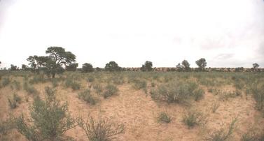 #1: Wide angle photograph of the confluence area by G. Dittié.