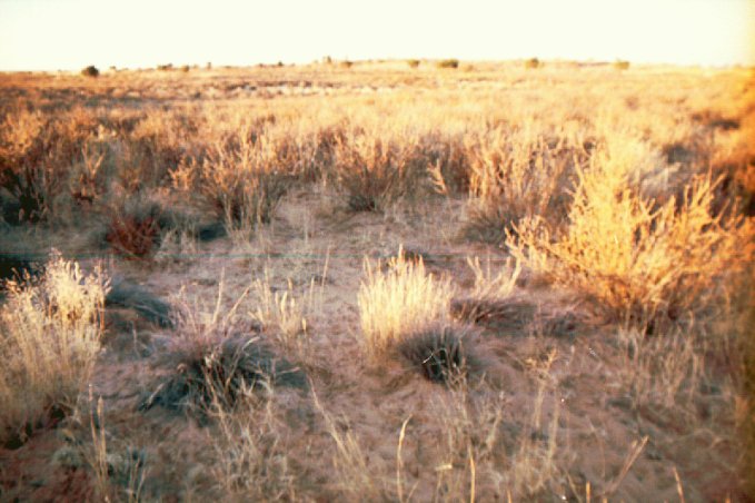 Taken from 50 m south of Confluence towards the Confluence