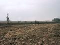 #12: View north from trig beacon. This matches the photographs 1 and 2 posted by the first visitors.