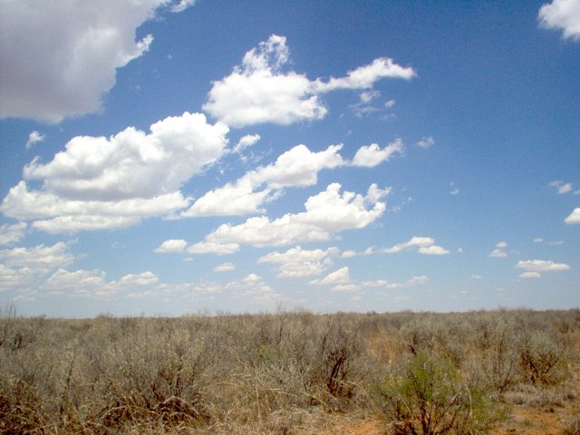 View to the South from the Confluence