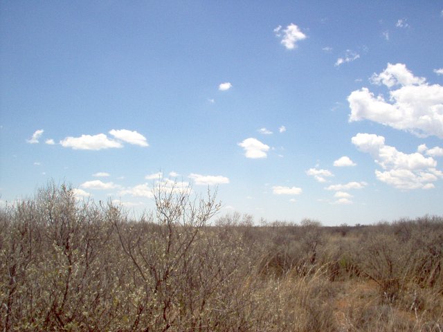 View to the North from the Confluence