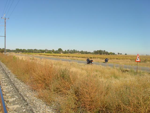 Near Whites. Farmhouse in the background.