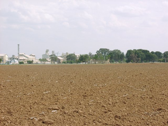 View south with Whites cement factory in the background