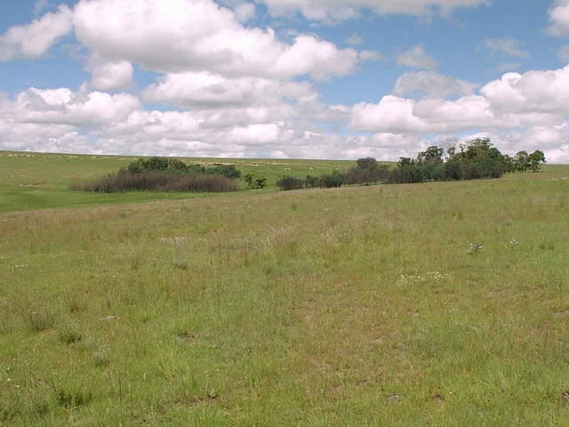 General view of Confluence area