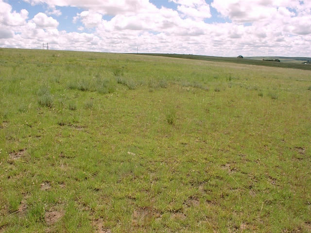 View west from Confluence