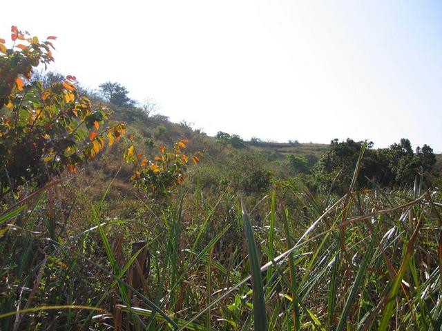 View to the North - the direction we approached the Confluence.