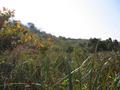 #2: View to the North - the direction we approached the Confluence.