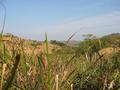 #4: View to the South - towards Game Reserve on distant hills.