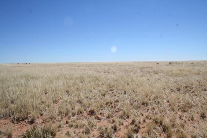 View north of Confluence