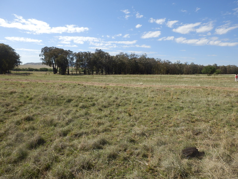 View to the South