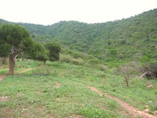 #1: Looking at Confluence from North - Confluence in front of tree