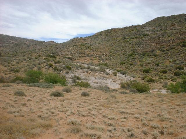 Looking North towards 30S 18E from the closest point we could reach on the farm track, the Confluence being about 500 m away at this point