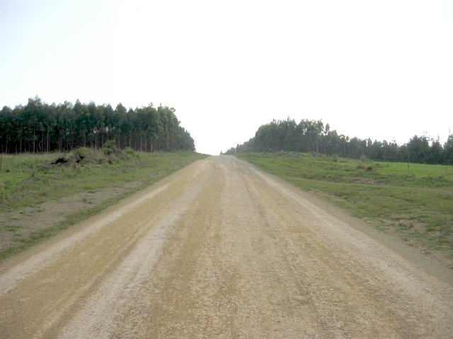 Looking back to the Confluence from 1km north