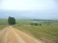 #9: Looking north from 1km north of the Confluence