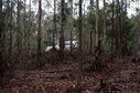 #4: At the confluence facing East