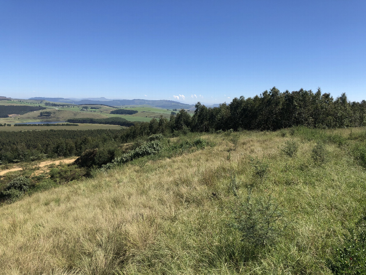 General View to the Confluence from 200 m Distance