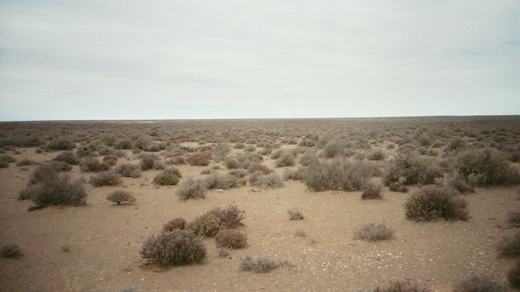 Looking east from site