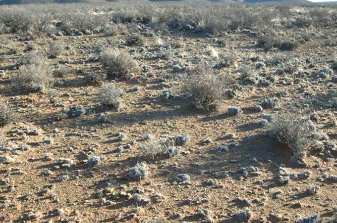 Closeup of the Confluence