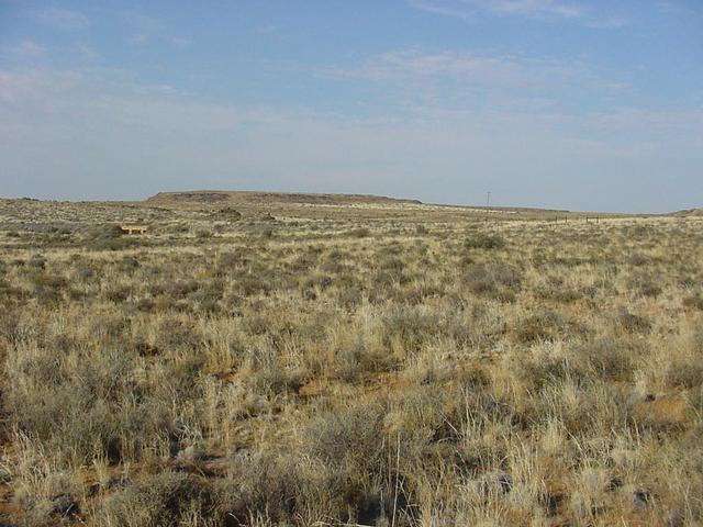 View south from Confluence