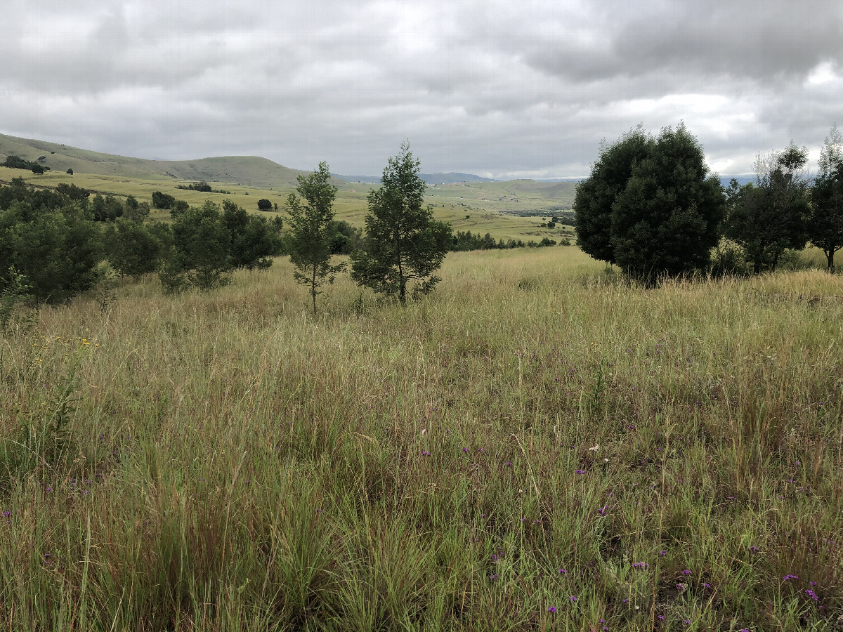 The Confluence from 15 m Distance