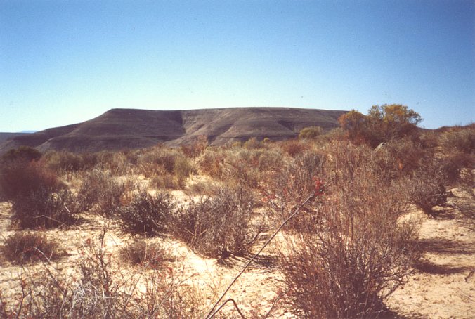 Looking east from the Confluence