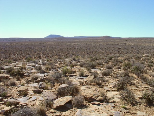 Northwards from top of the ridge adjacent to the Confluence