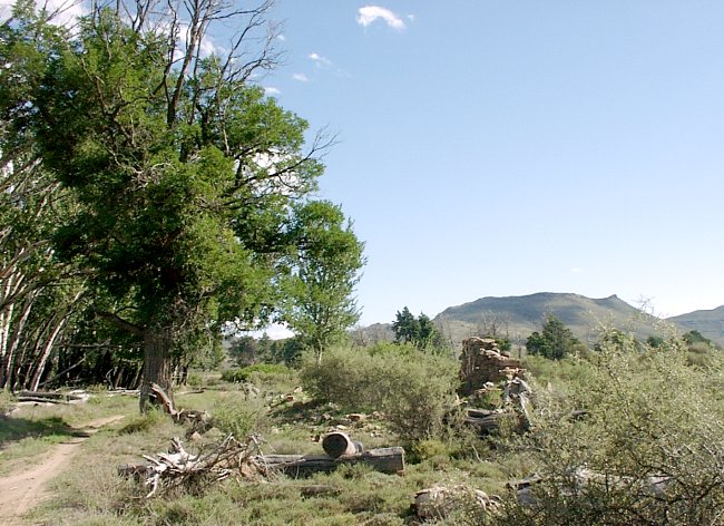 The remains of the old toll gate