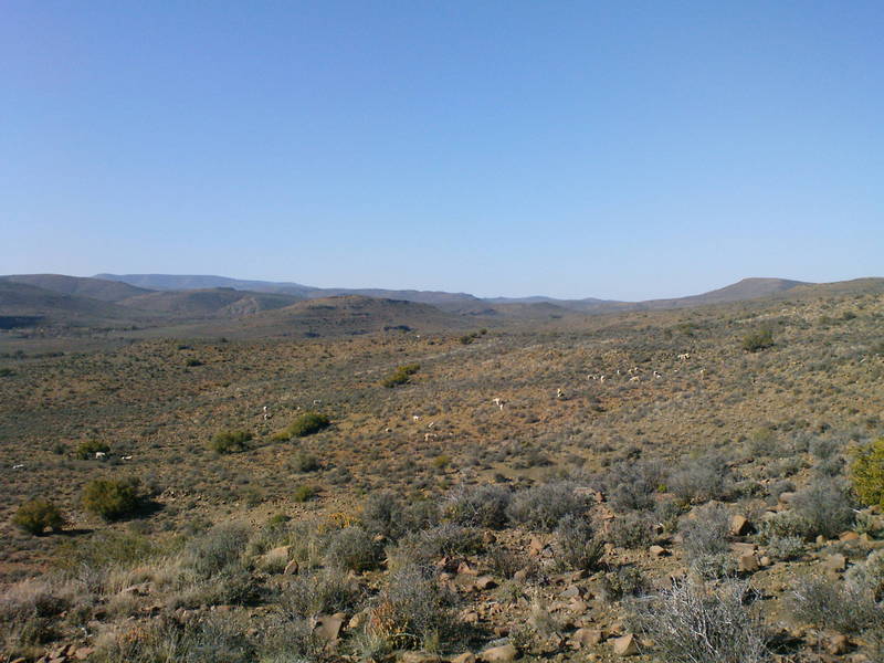 Northeast from hill facing the Confluence