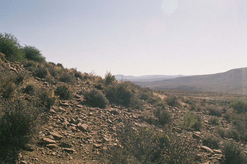 View west from Confluence