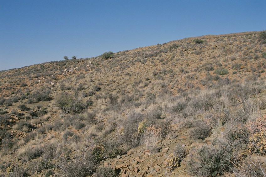 View east from Confluence