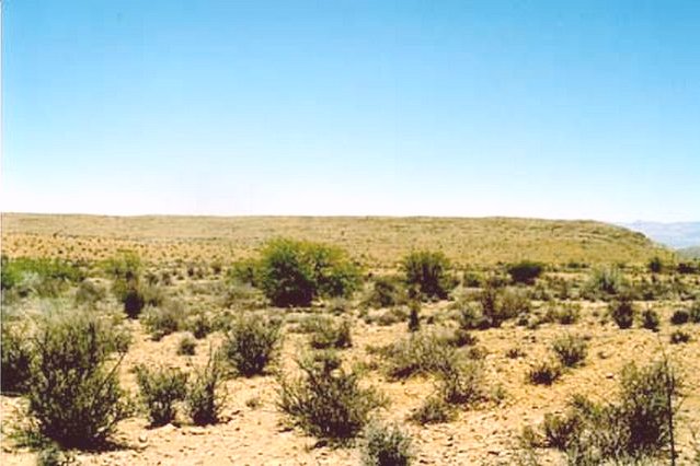 View South with Swartberg Mountains backdrop right