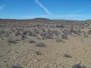 #1: General view towards the Confluence from 50 m to the southwest