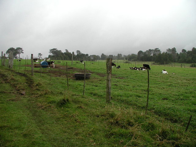 Foul weather friends, different view