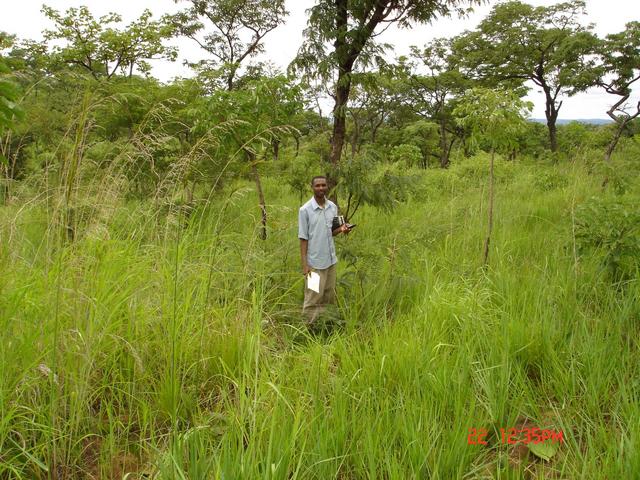 Joshua at the site