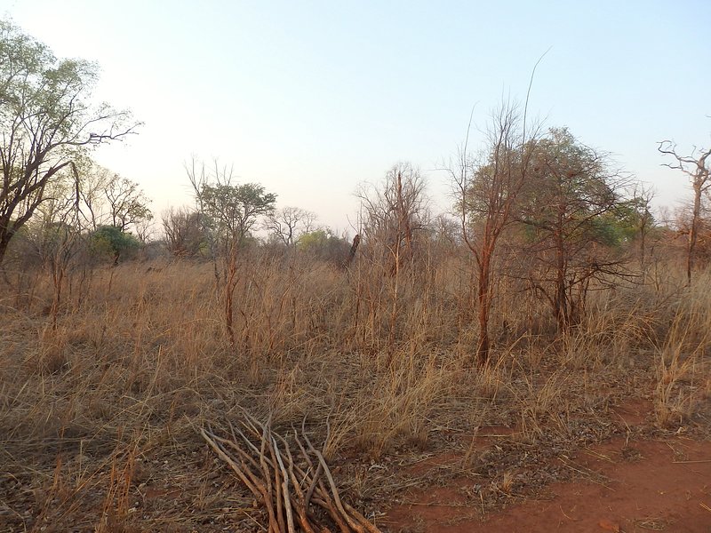 The Confluence from 21 m distance