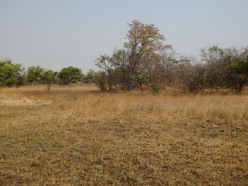 The Confluence from 20 m distance