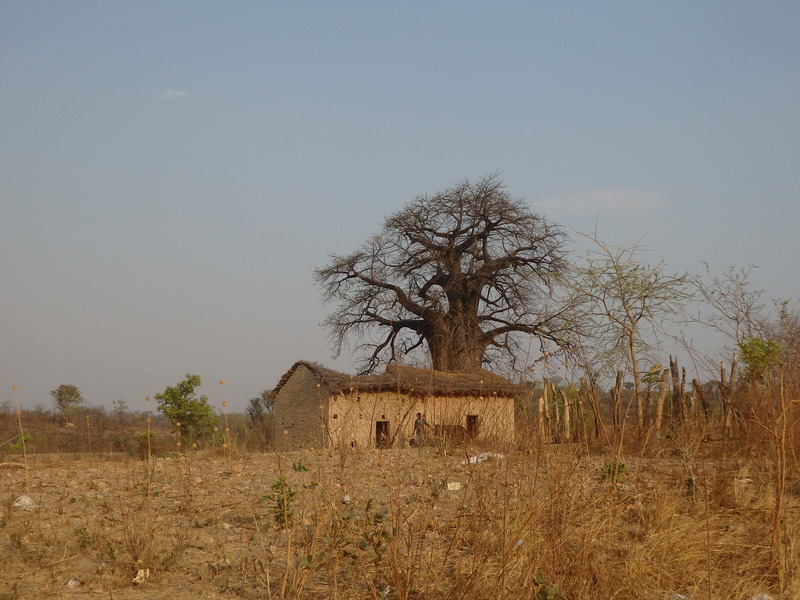 Nearby farm