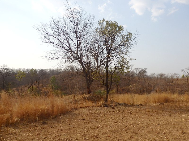 The Confluence from 20 m distance