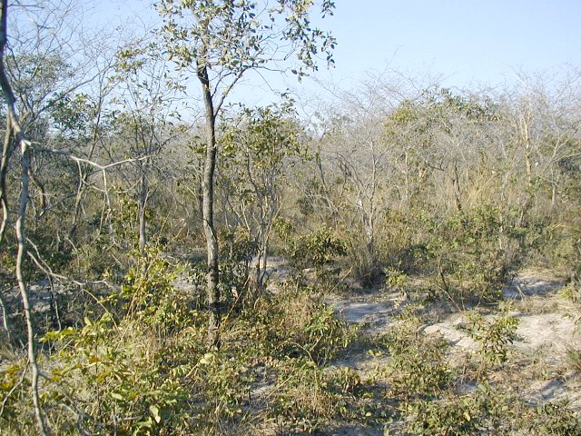 General view of site