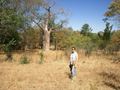 #8: Lisbeth with the baobab tree in the background